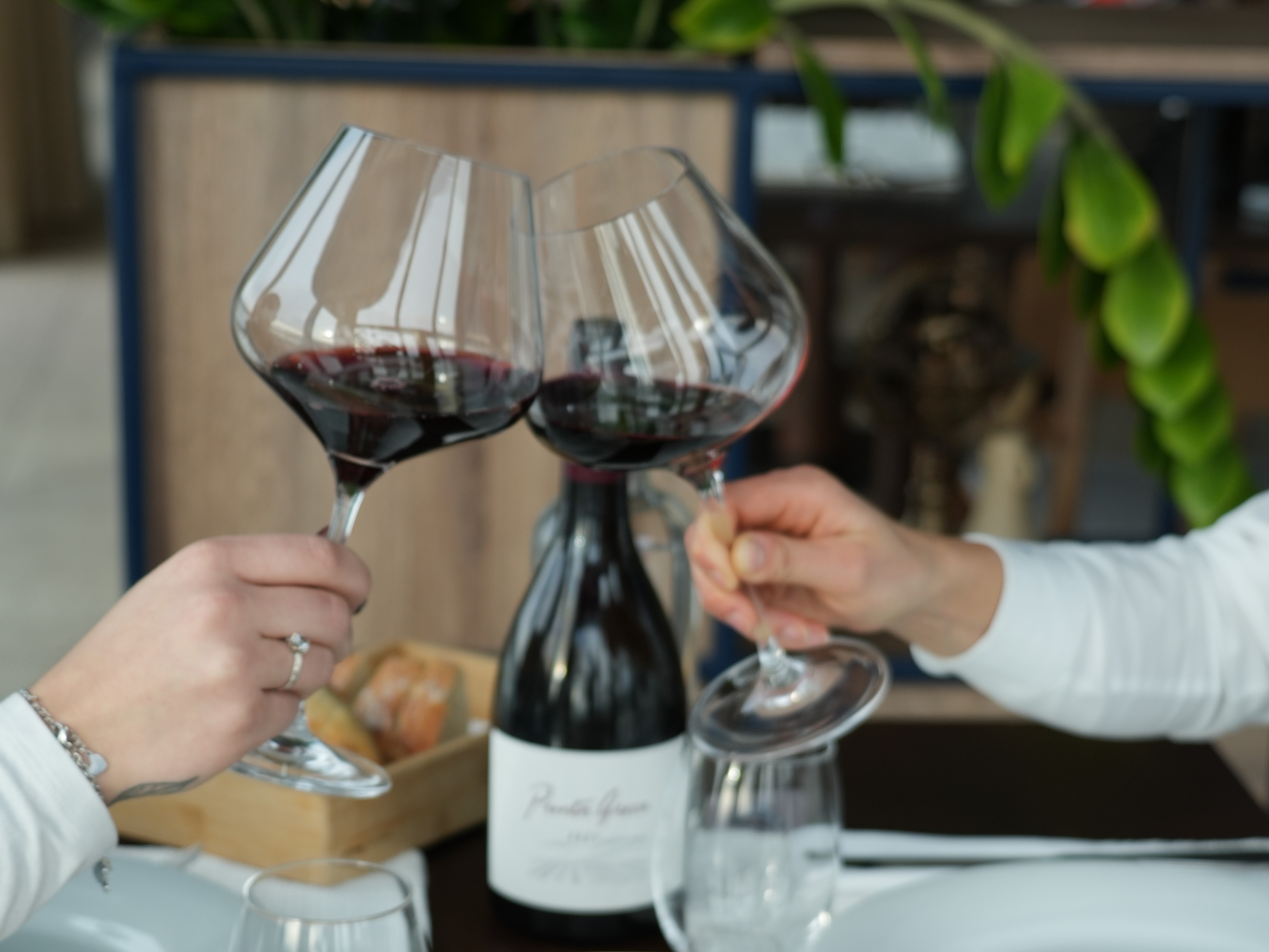 Teden zaljubljenih v restavraciji Marina